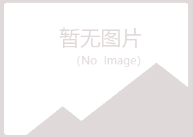 铜官山区夏日服务有限公司